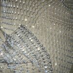 IMG_20211213_113037_189